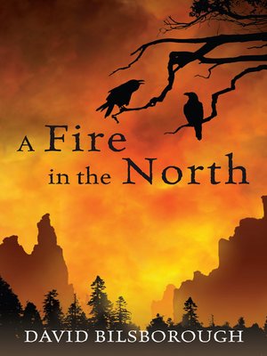 cover image of A Fire in the North